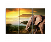 Купить картину Слон в саванне, m0114 - под заказ