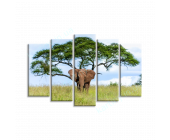 Купить картину Слон и дерево, m0117 - под заказ