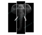 Купить картину Черно-белый слон, m0121 - под заказ