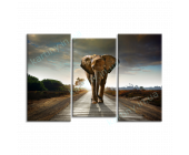 Купить картину Слон на дороге, m0123 - под заказ