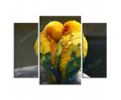 Купить картину Влюбленные попугайчики, m0130 - под