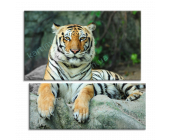 Купить картину Азиатский тигр, m0250 - под заказ