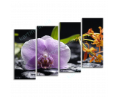 Купить картину Орхидея и черные камни, m0251 - под