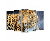 Купить картину Взгляд леопарда, m0253 - под заказ