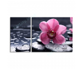 Купить картину Орхидея под дождем, m0306 - под зак