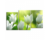 Купить картину Белые тюльпаны, m0329 - под заказ