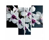 Купить картину Орхидеи, m0334 - под заказ