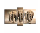 Купить картину Бег слонов, m0337 - под заказ
