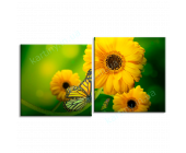 Купить картину Бабочка с желтым цветком, m0392 - п