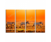 Купить картину Африканские зебры, m0421 - под зака