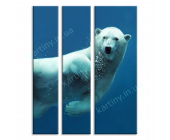 Купить картину Белый медведь под водой, m0428 - по