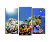 Купить картину Подводный мир, m0470 - под заказ